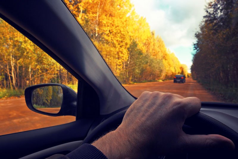 Stay Safe on the Road with These Autumn Driving Tips